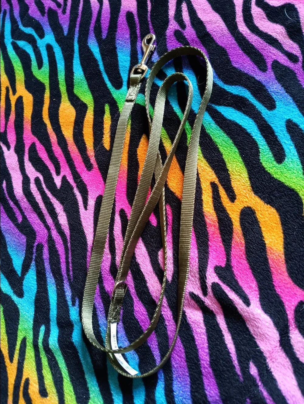 🖤 Bond & Co. Camo Print Cat Harness Leash Set Small S/M Medium Camoflauge Pets